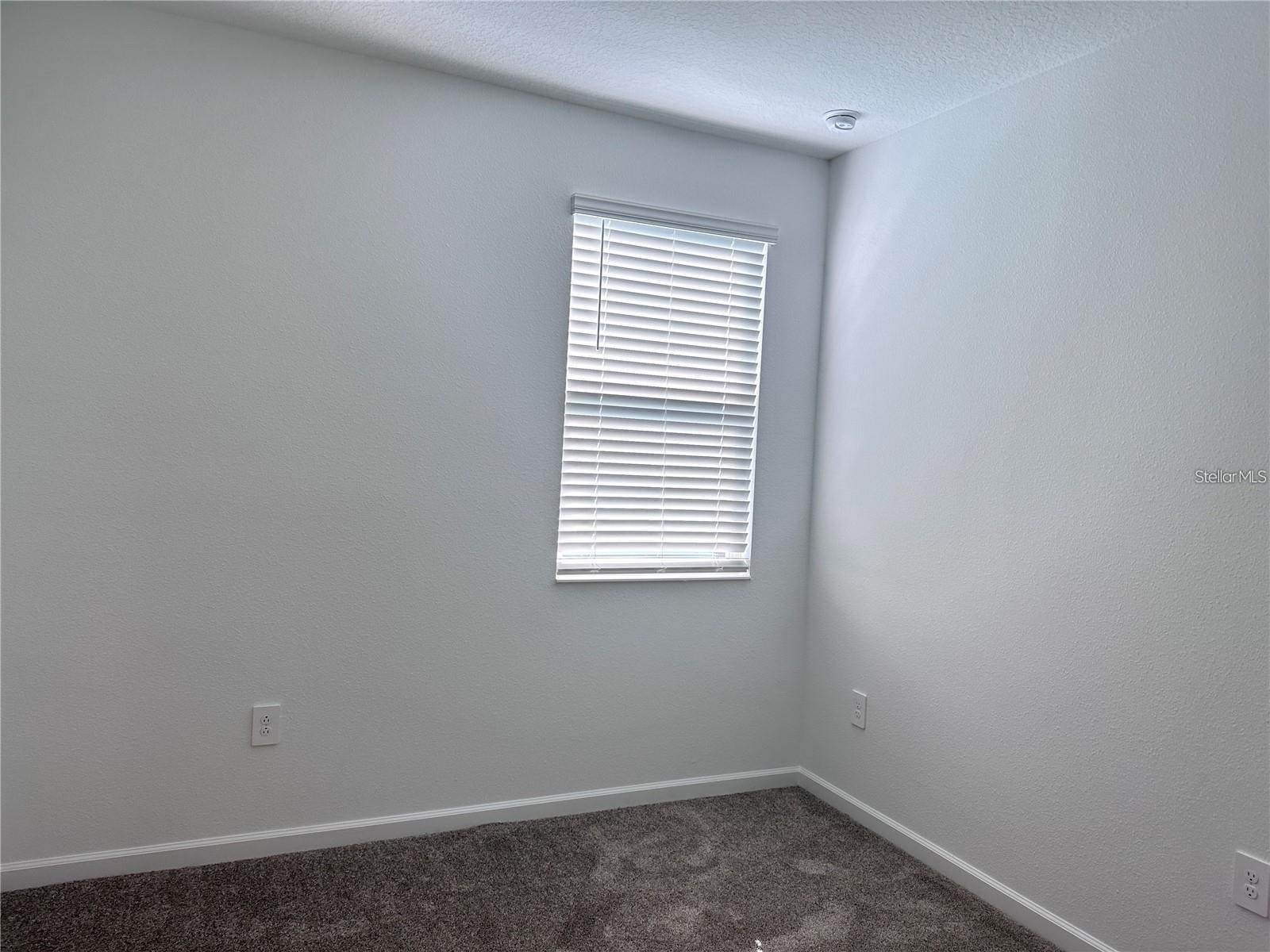 11428 Great Rock Street Winter Garden FL 34787 O6416571 image11