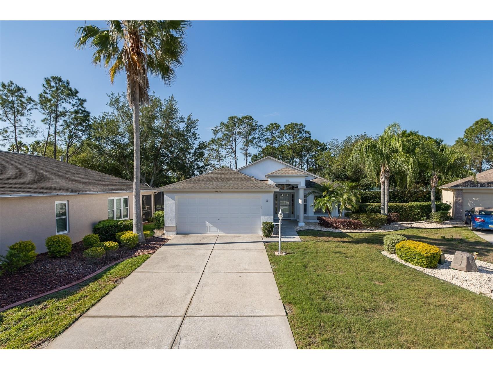 11428 Hidden Cove Court Trinity FL 34655 W7885201 image1