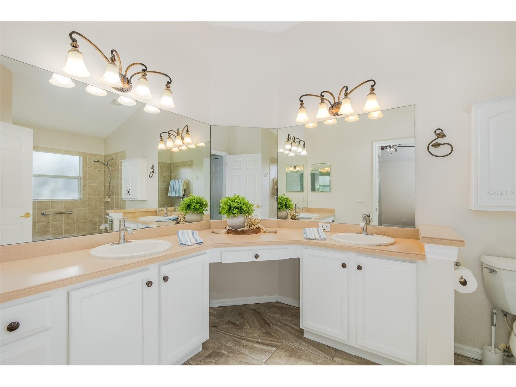 11428 Hidden Cove Court Trinity FL 34655 W7885201 image28