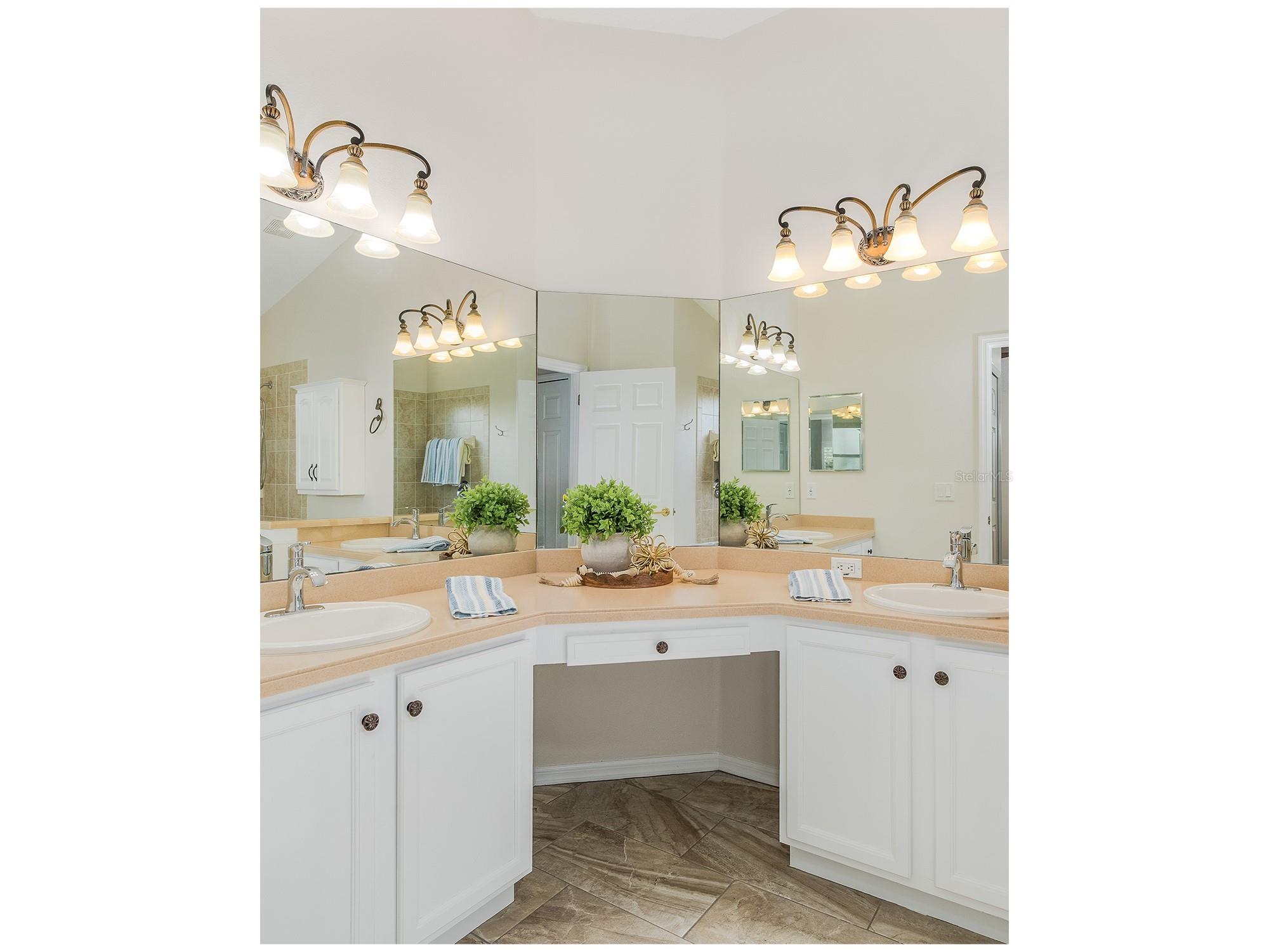 11428 Hidden Cove Court Trinity FL 34655 W7885201 image29
