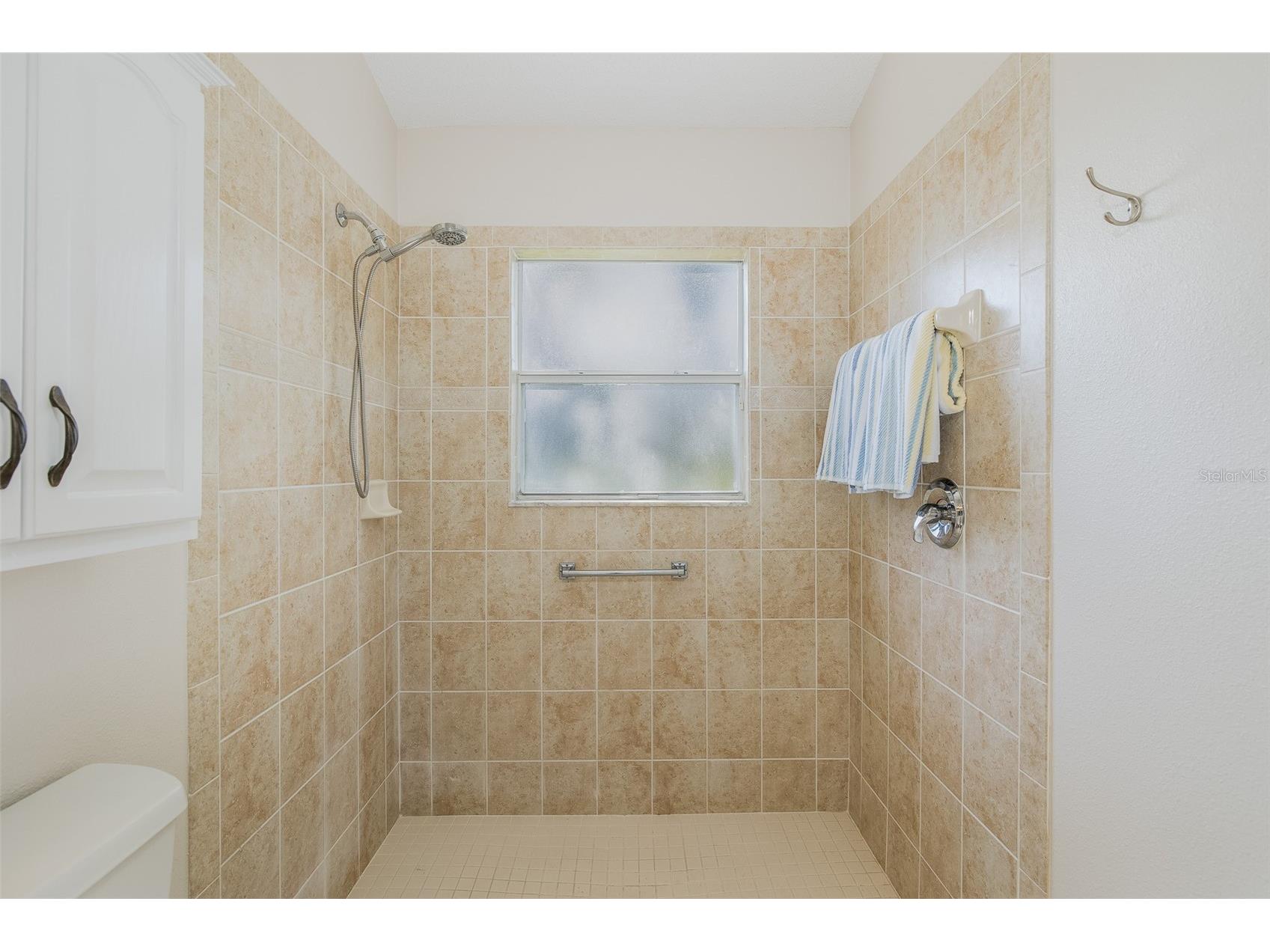 11428 Hidden Cove Court Trinity FL 34655 W7885201 image31