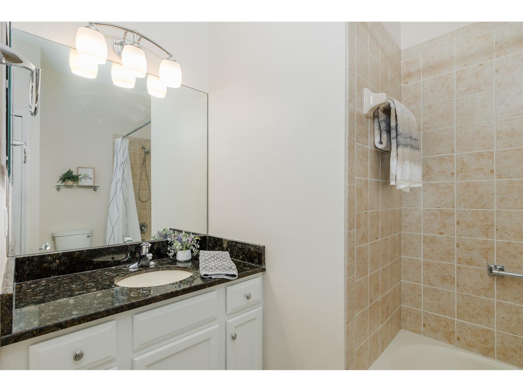 11428 Hidden Cove Court Trinity FL 34655 W7885201 image39