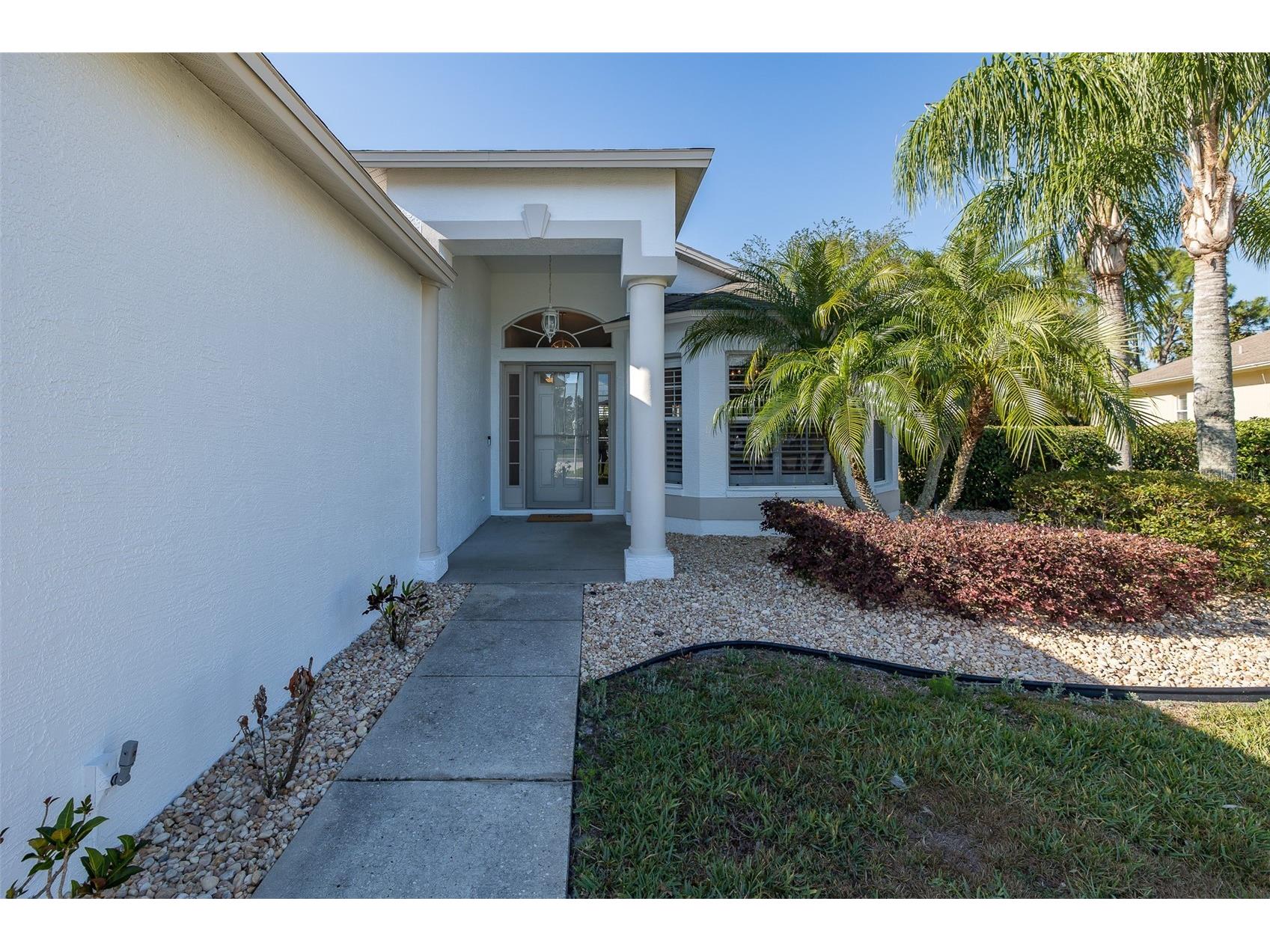 11428 Hidden Cove Court Trinity FL 34655 W7885201 image4