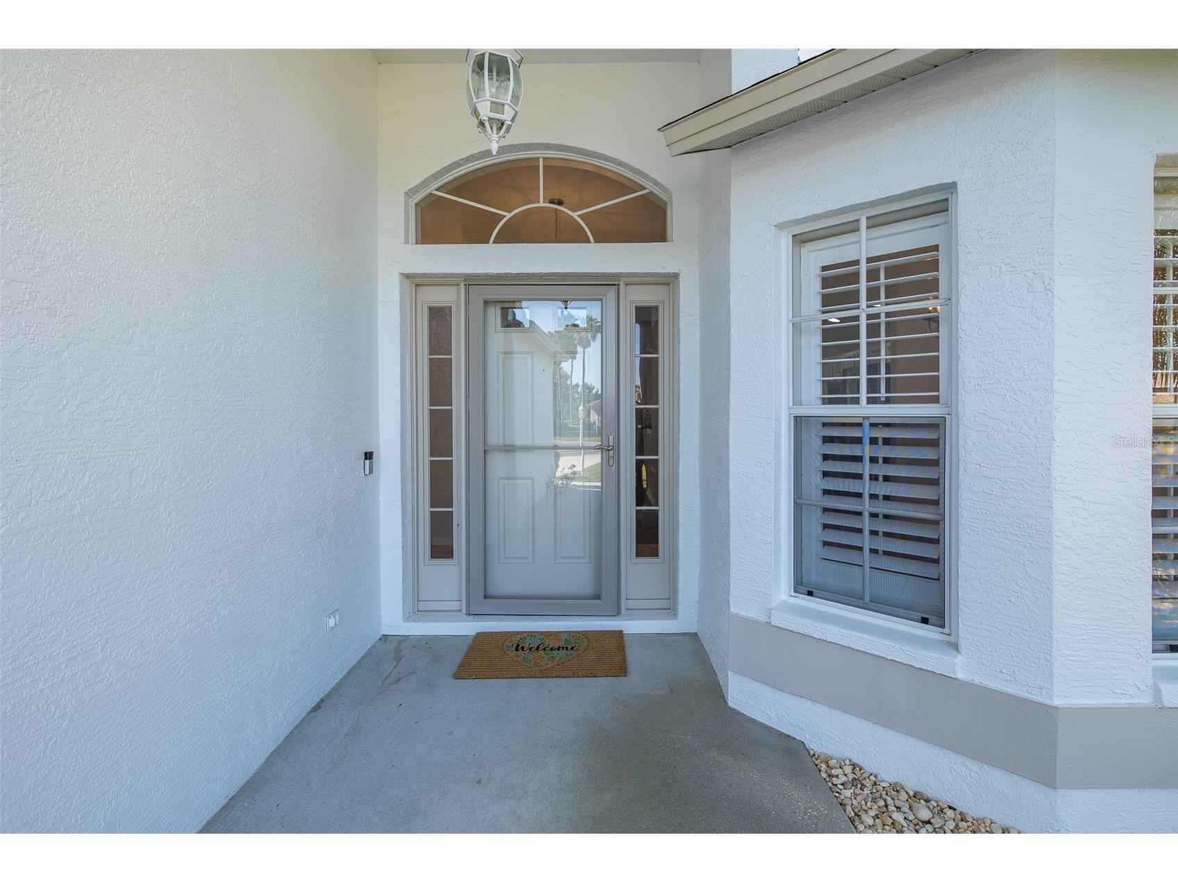 11428 Hidden Cove Court Trinity FL 34655 W7885201 image5