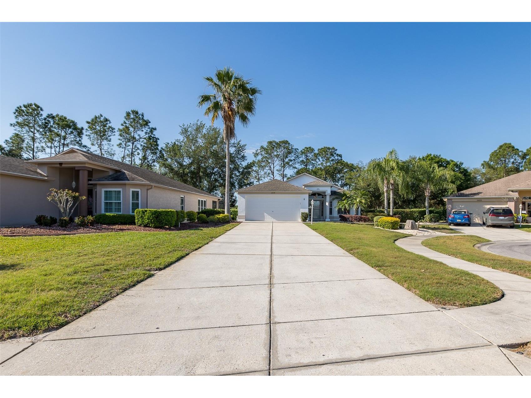 11428 Hidden Cove Court Trinity FL 34655 W7885201 image67