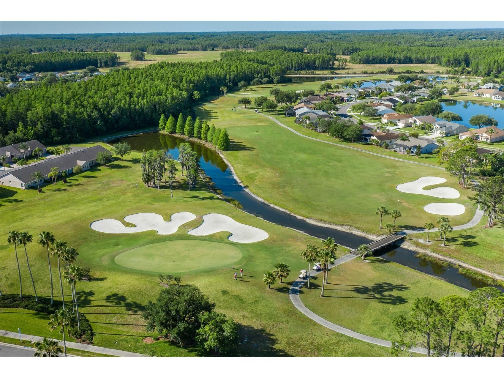 11428 Hidden Cove Court Trinity FL 34655 W7885201 image77
