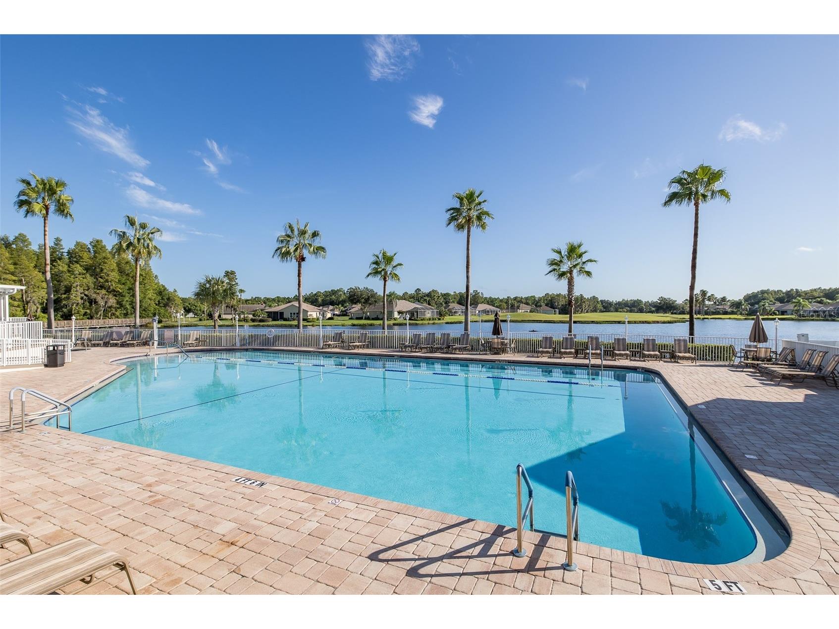 11428 Hidden Cove Court Trinity FL 34655 W7885201 image87