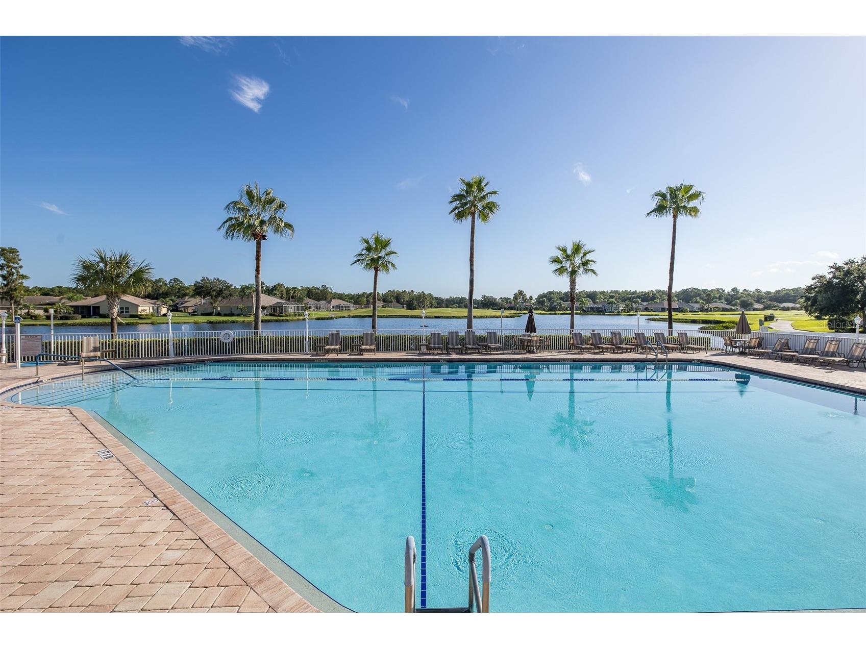 11428 Hidden Cove Court Trinity FL 34655 W7885201 image88