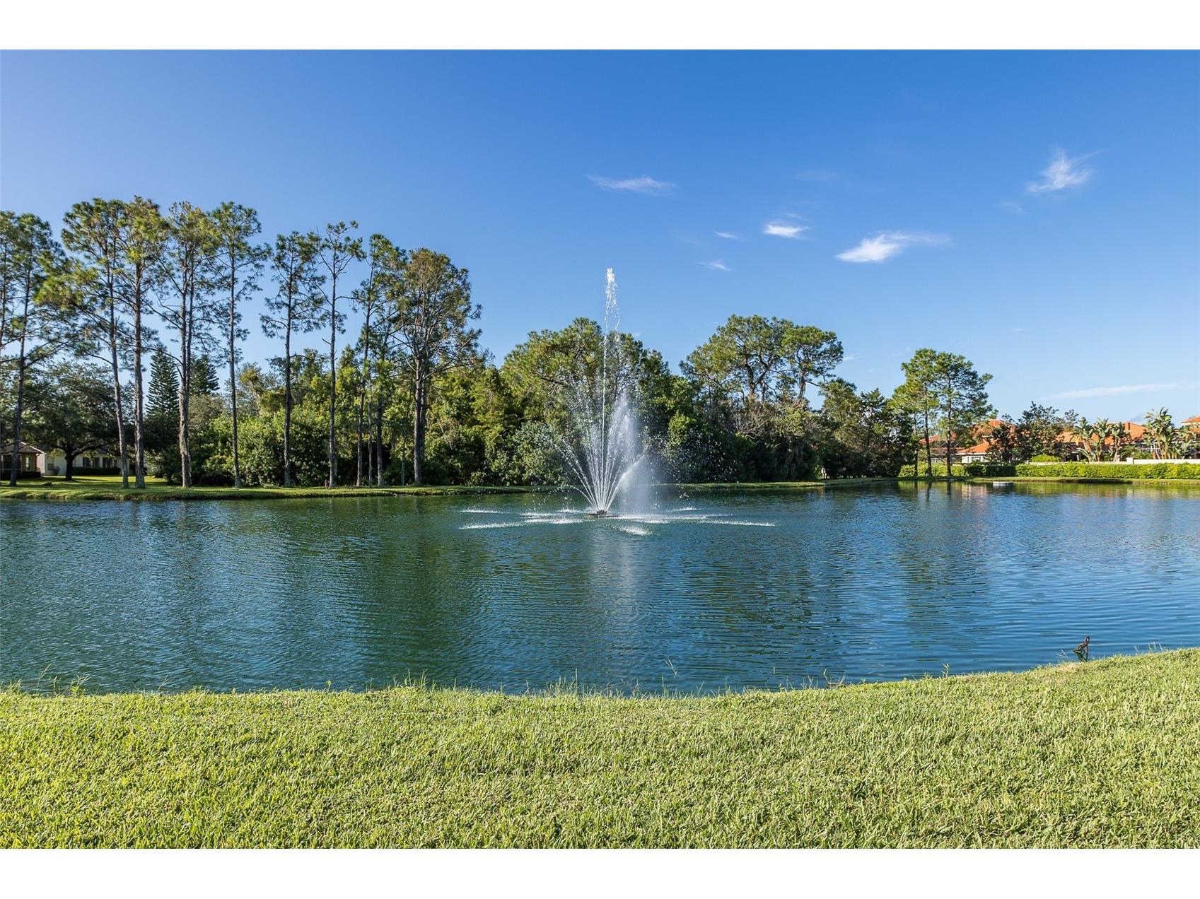 11428 Hidden Cove Court Trinity FL 34655 W7885201 image92