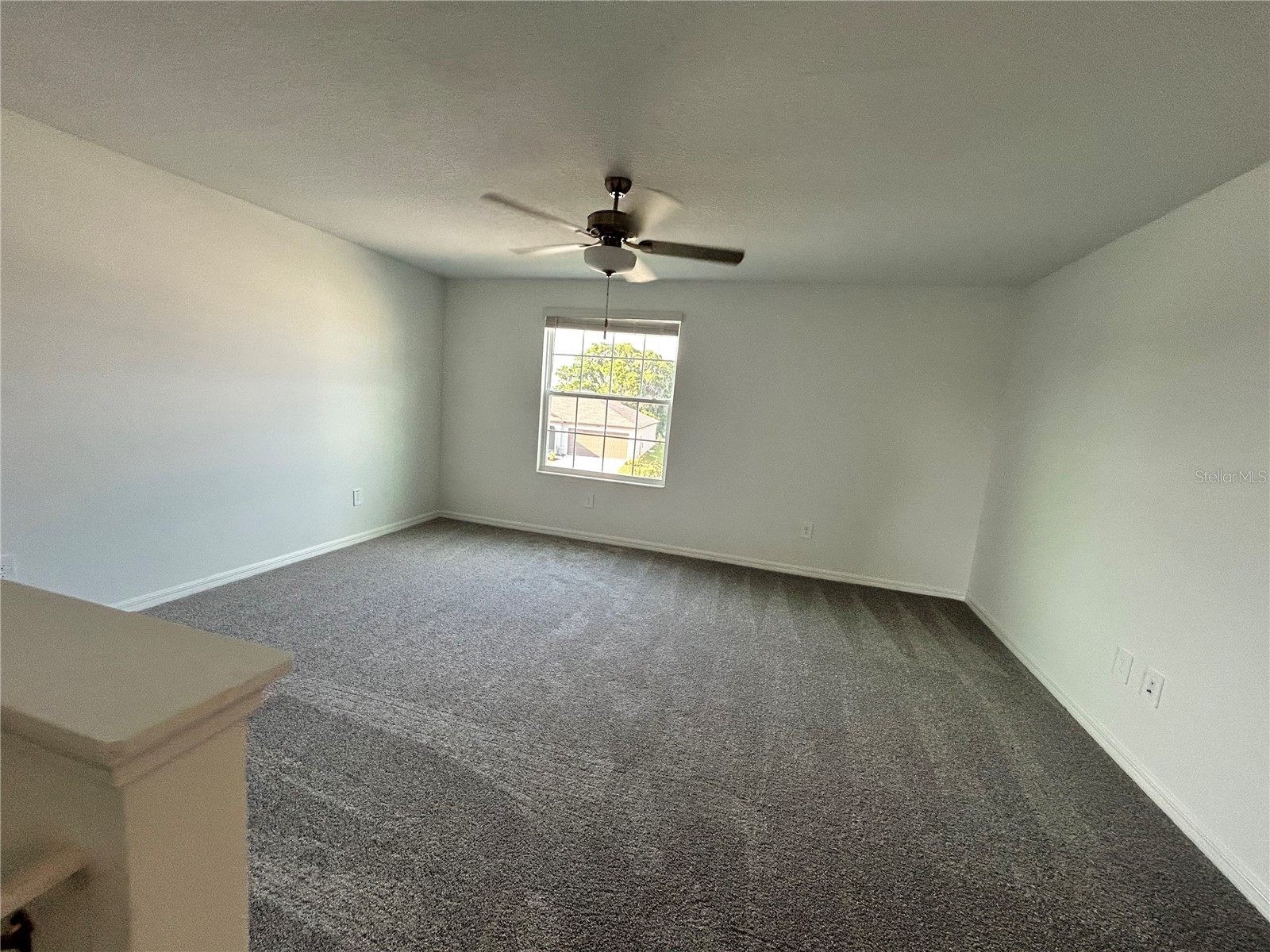 11428 Linden Depot Road San Antonio FL 33576 O6401875 image8