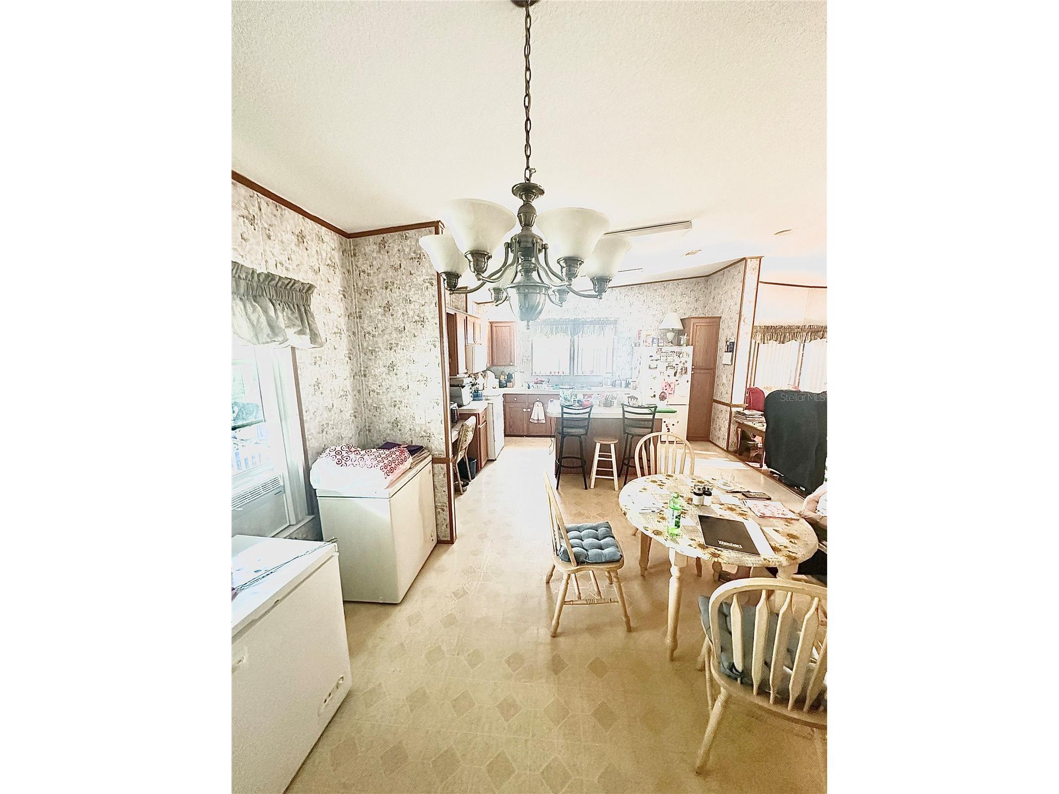 11428 Pheasant Trail Leesburg FL 34788 G5093589 image3