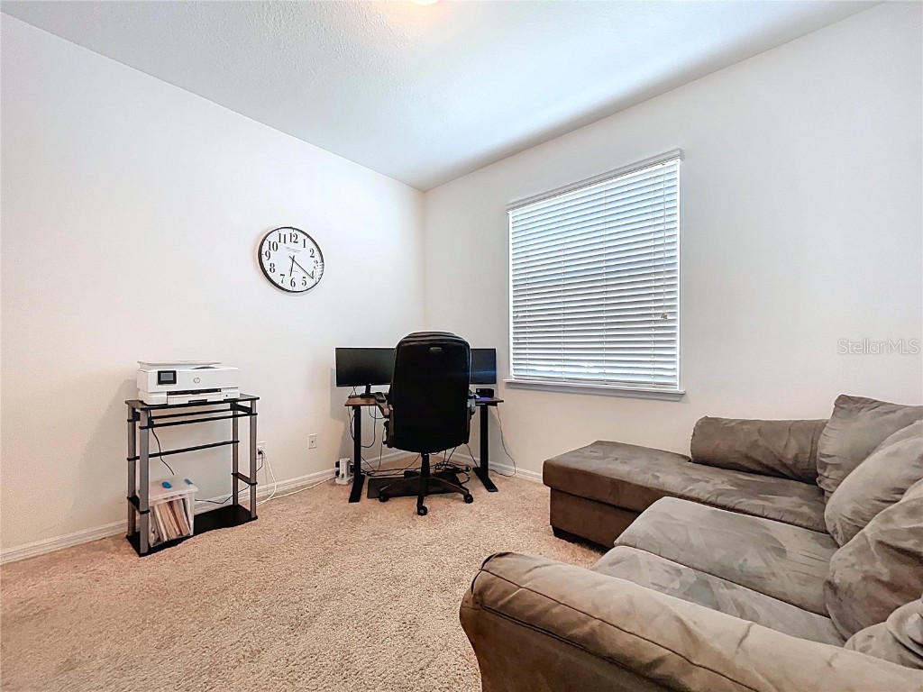 11428 Warren Oaks Place Riverview FL 33578 TB8420343 image39