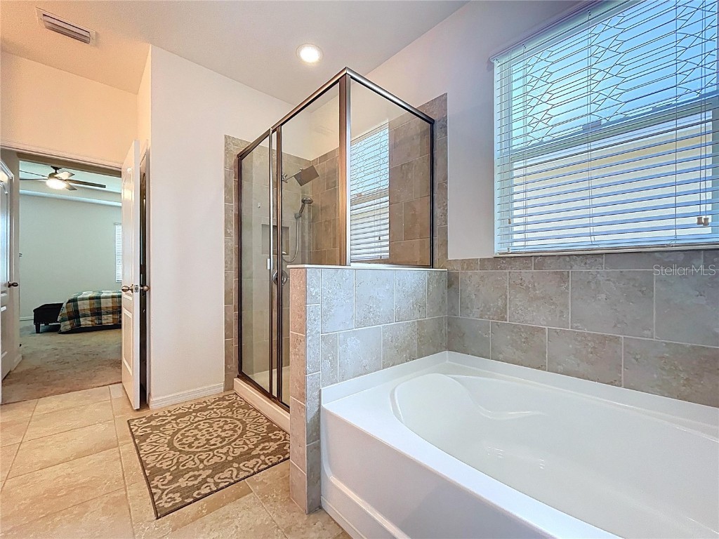 11428 Warren Oaks Place Riverview FL 33578 TB8420343 image60