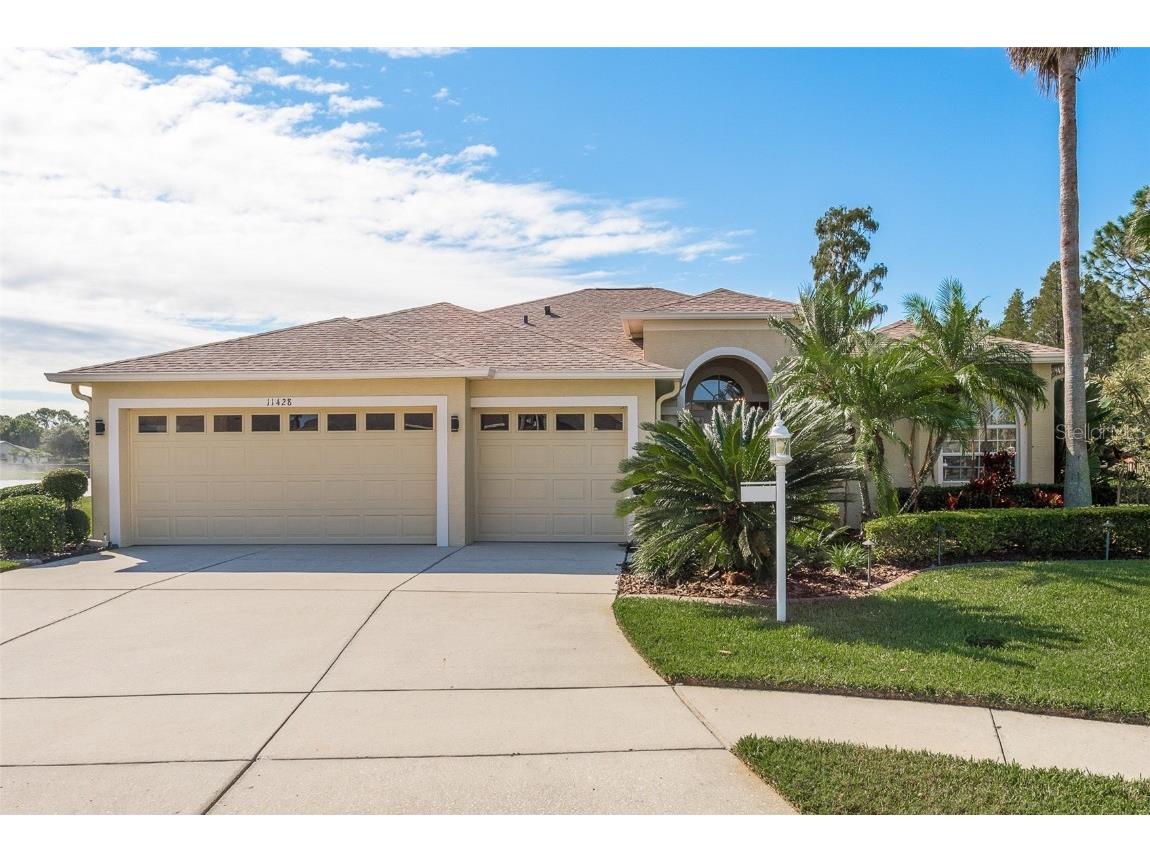 11428 Wedgemere Drive Trinity FL 34655 U8219624 image1