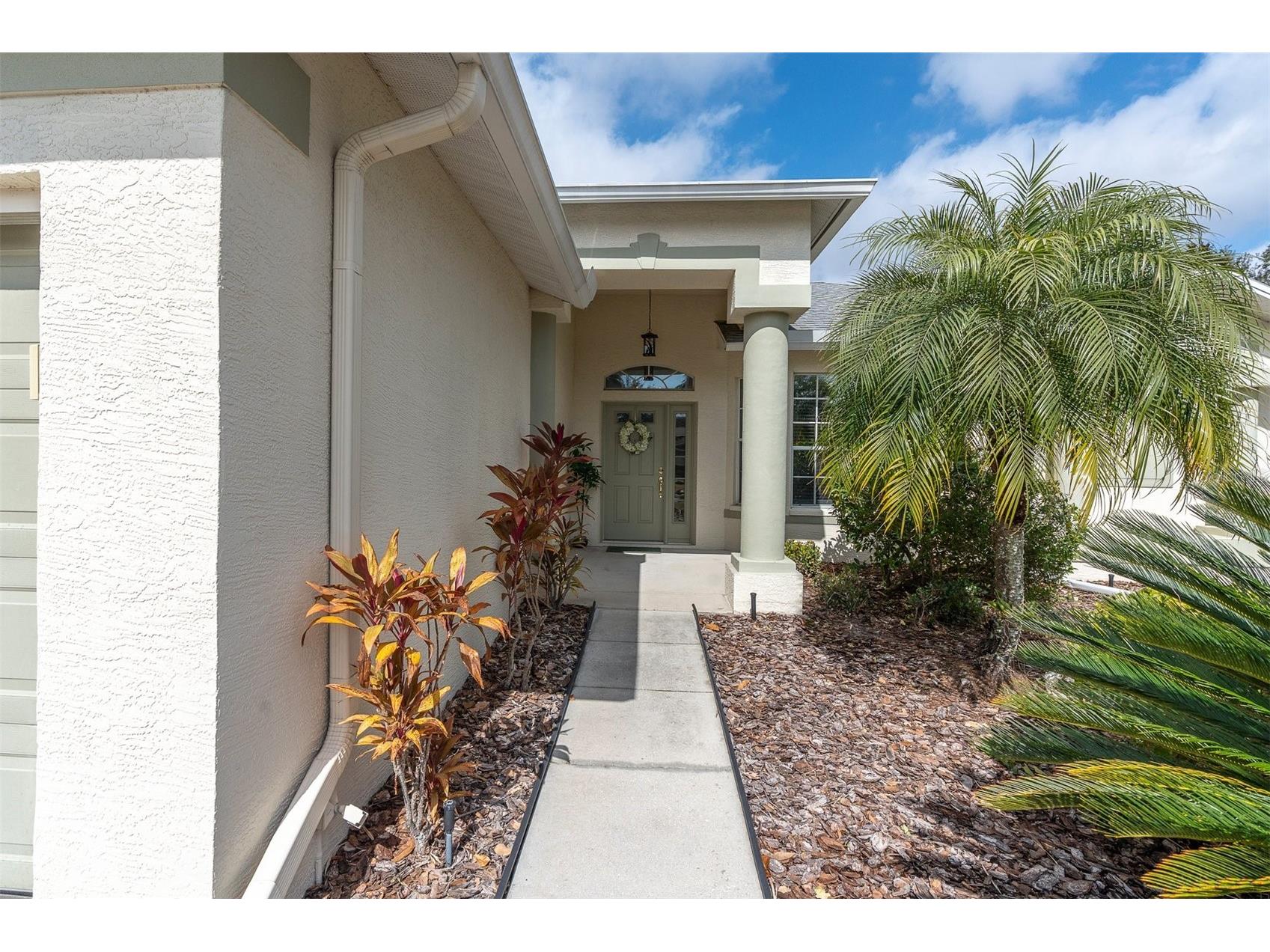 11429 Hidden Cove Ct. Trinity FL 34655 W7882764 image3