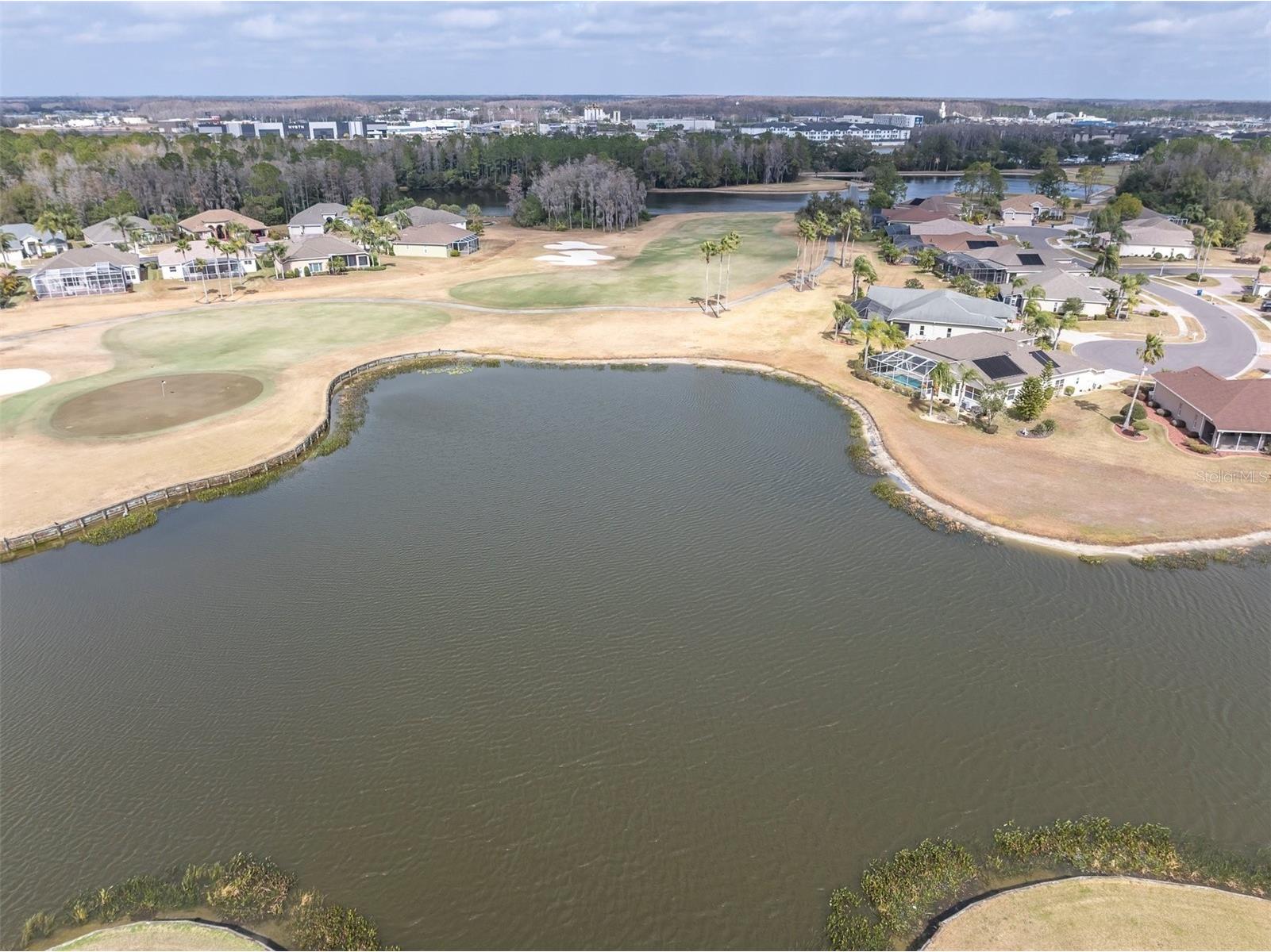 11429 Hidden Cove Ct. Trinity FL 34655 W7882764 image35