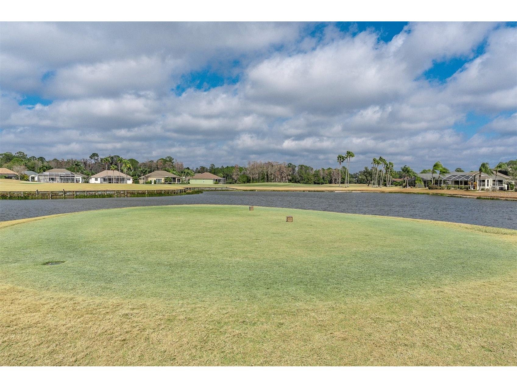 11429 Hidden Cove Ct. Trinity FL 34655 W7882764 image39