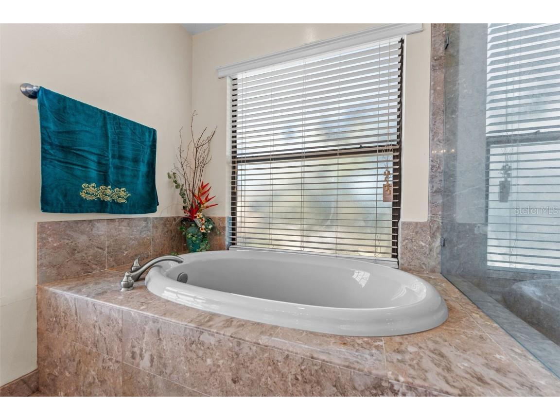 11429 Zenith Circle Tampa FL 33635 TB8442946 image35