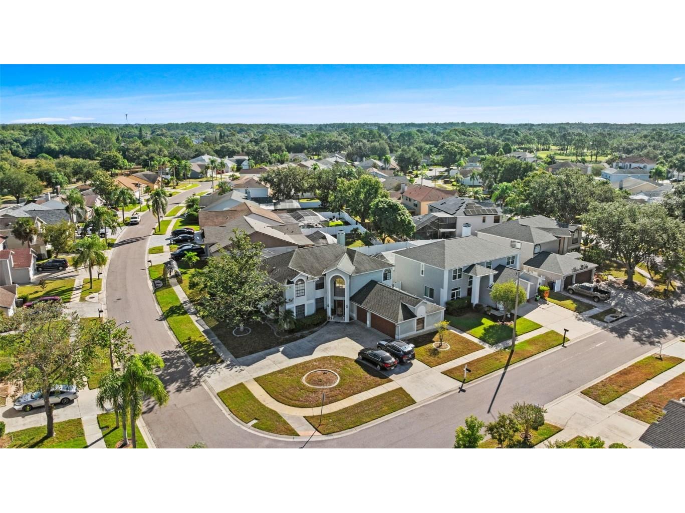 11429 Zenith Circle Tampa FL 33635 TB8442946 image61