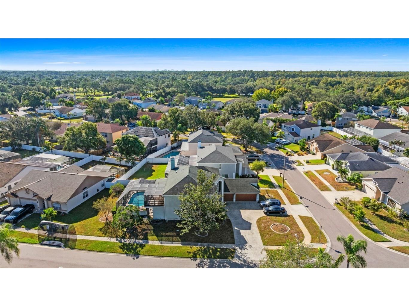 11429 Zenith Circle Tampa FL 33635 TB8442946 image64