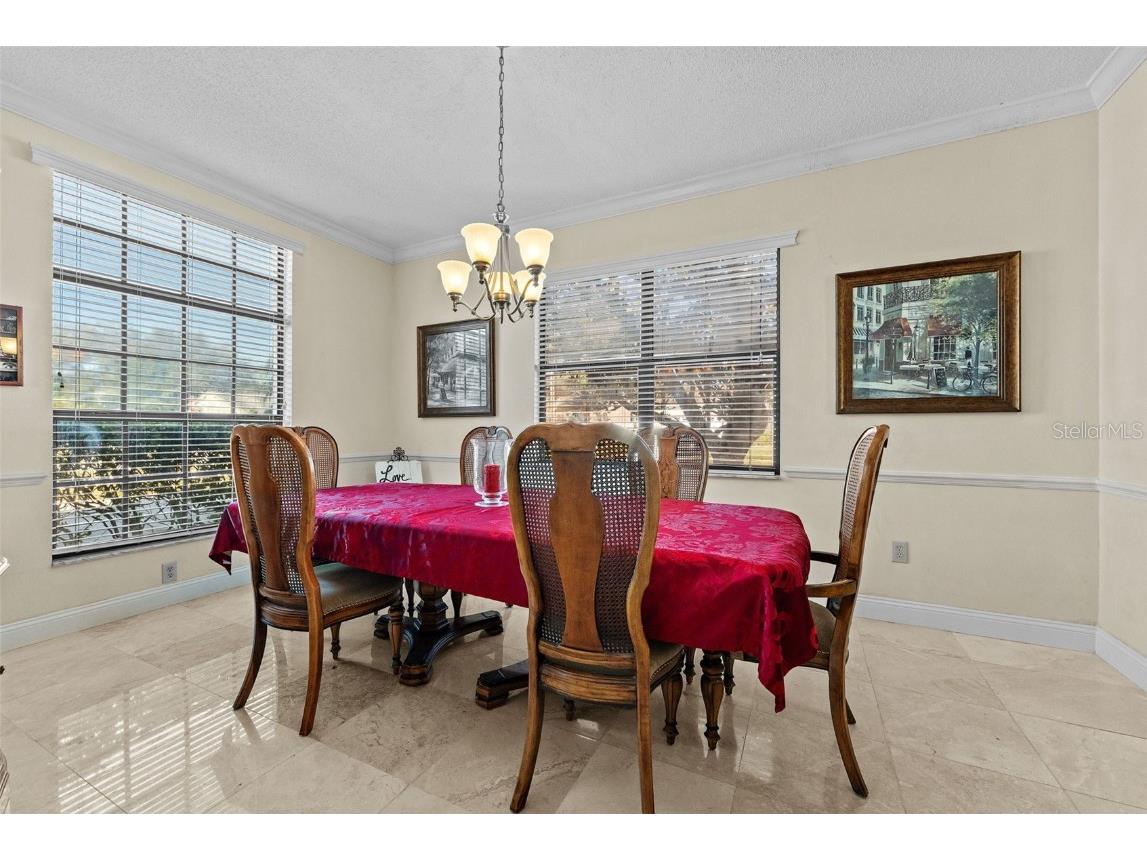 11429 Zenith Circle Tampa FL 33635 TB8442946 image9