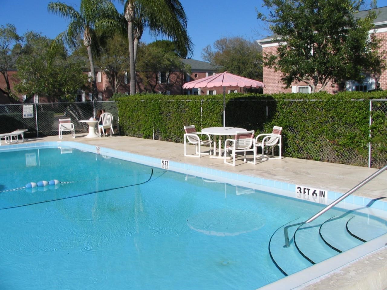 1143 85th Terrace N #D Saint Petersburg FL 33702 TB8481540 image4