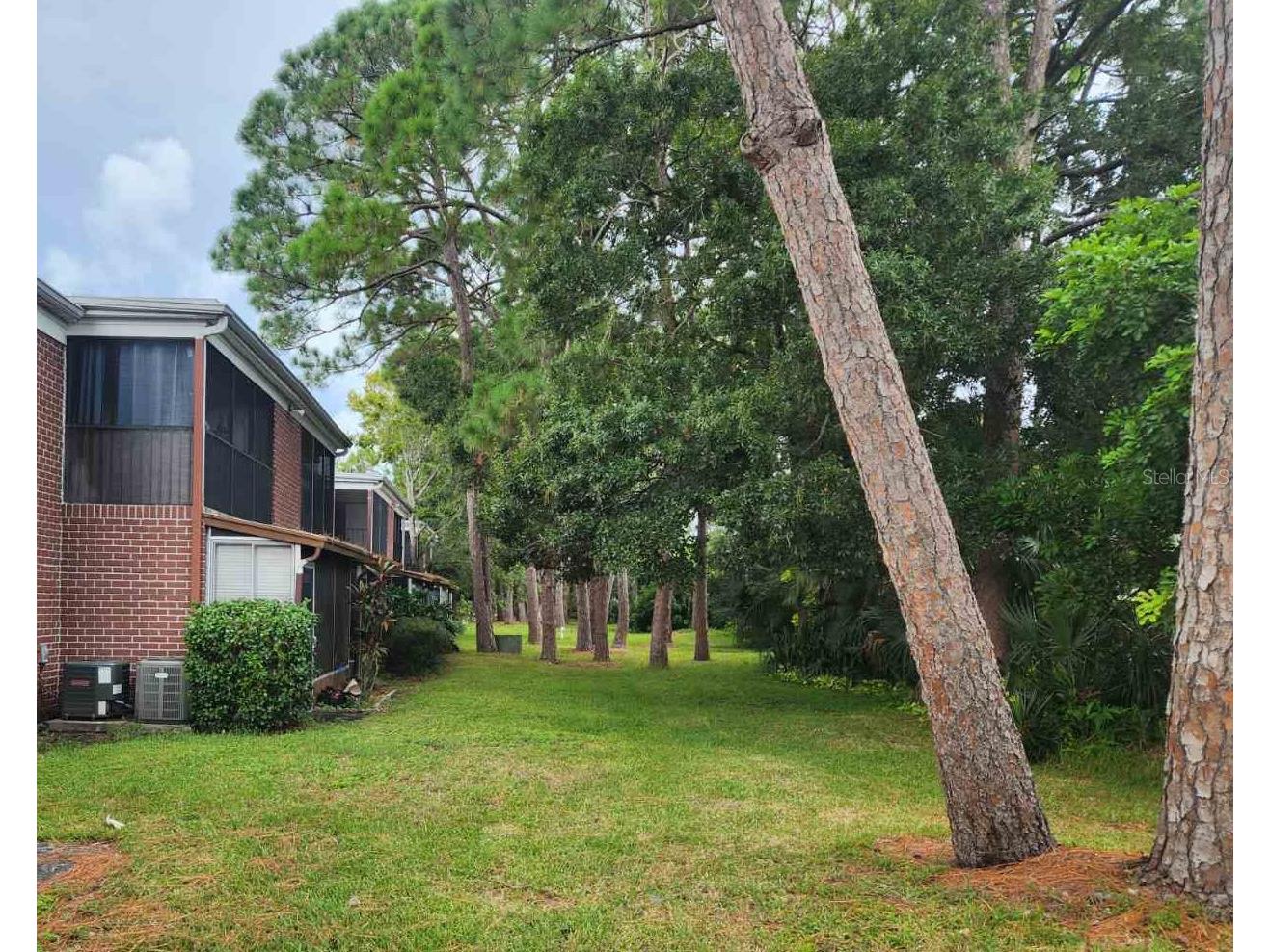 1143 85th Terrace N #D Saint Petersburg FL 33702 TB8481540 image6