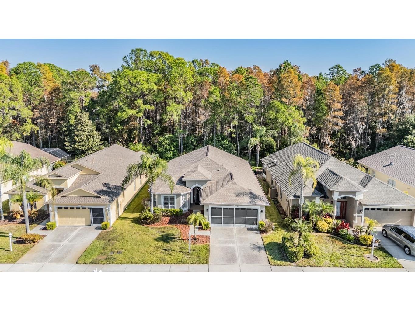 1143 Dustan Place Trinity FL 34655 W7880858 image2