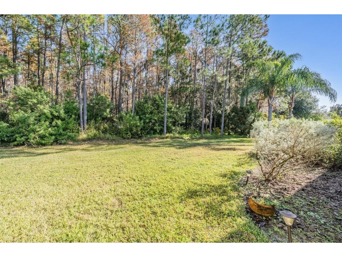 1143 Dustan Place Trinity FL 34655 W7880858 image20