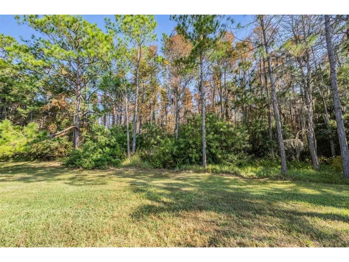 1143 Dustan Place Trinity FL 34655 W7880858 image21