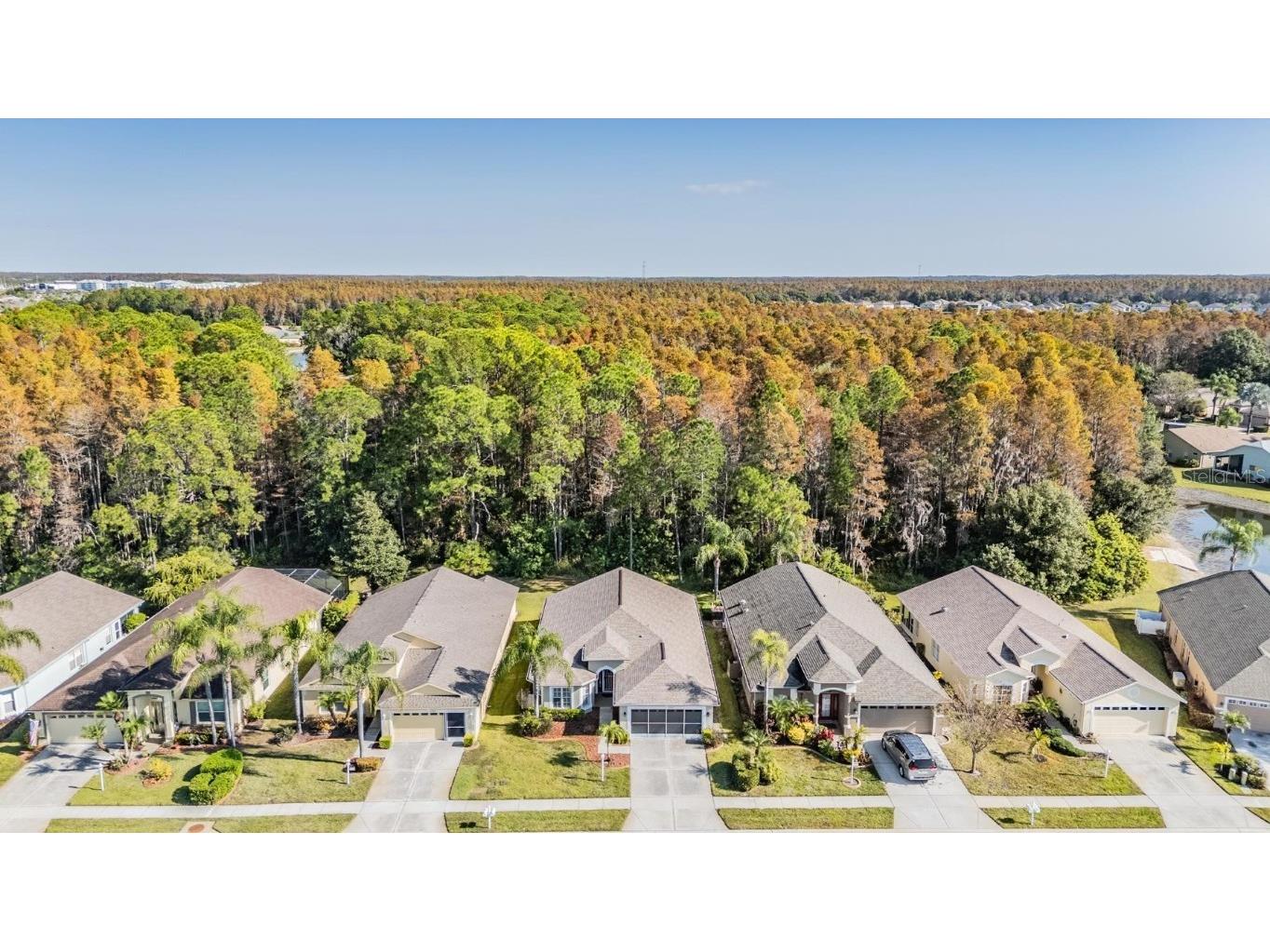 1143 Dustan Place Trinity FL 34655 W7880858 image22