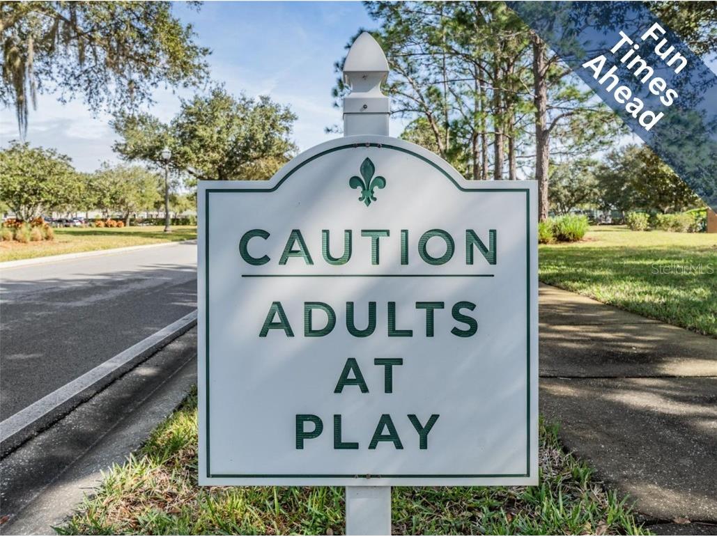 1143 Dustan Place Trinity FL 34655 W7880858 image49