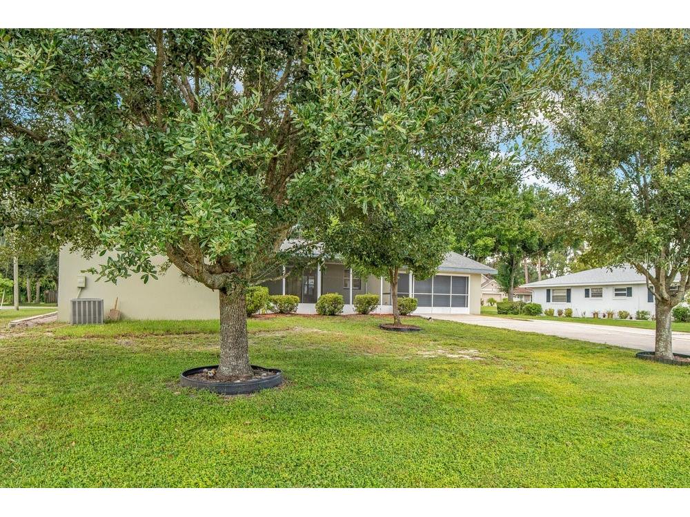 1143 E Fowler Drive Deltona FL 32725 - LAKE GLEASON V4945190 image24