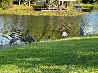 1143 E Fowler Drive Deltona FL 32725 - LAKE GLEASON V4945190 image38