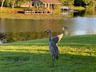 1143 E Fowler Drive Deltona FL 32725 - LAKE GLEASON V4945190 image42