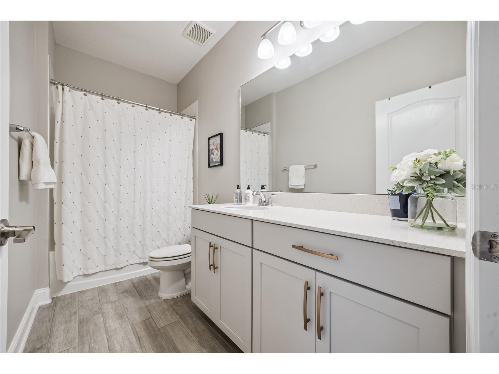 1143 Hull Island Drive Winter Garden FL 34787 O6413213 image35
