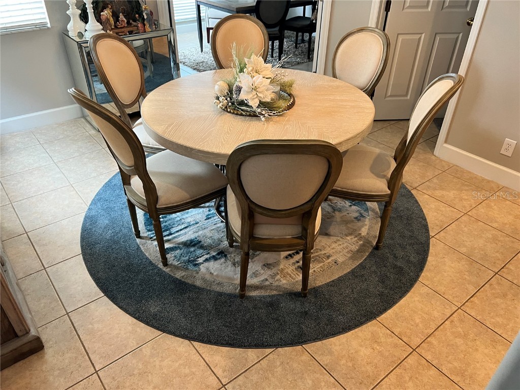 1143 Venetian Harbor Drive NE Saint Petersburg FL 33702 TB8438248 image24