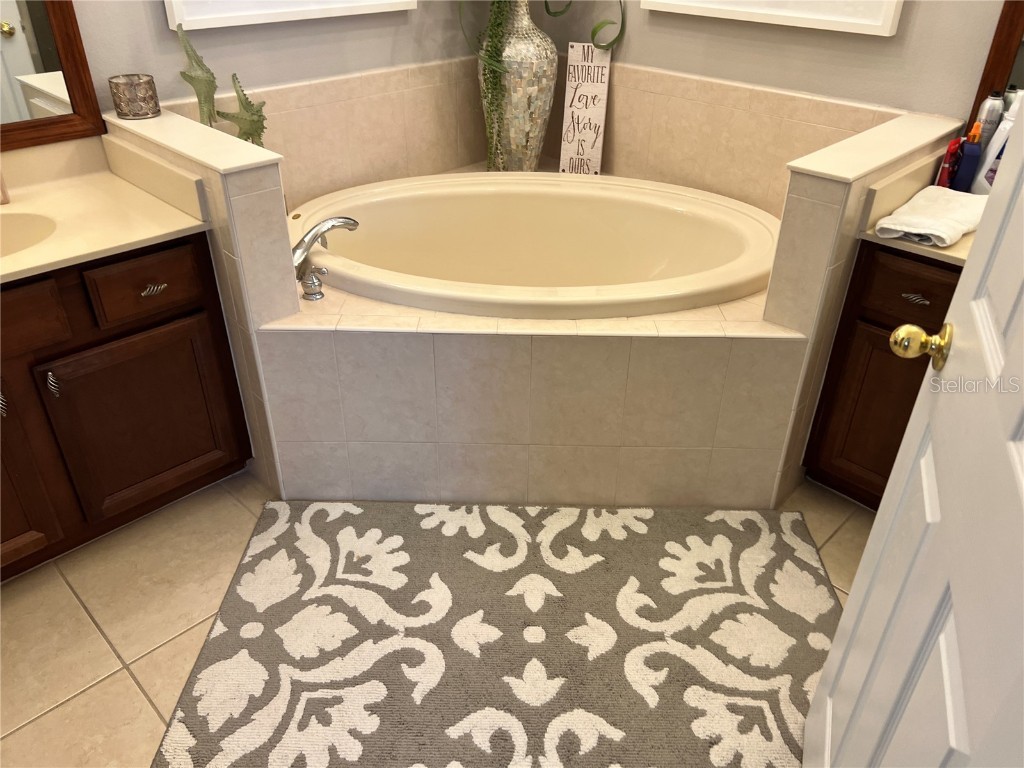 1143 Venetian Harbor Drive NE Saint Petersburg FL 33702 TB8438248 image30