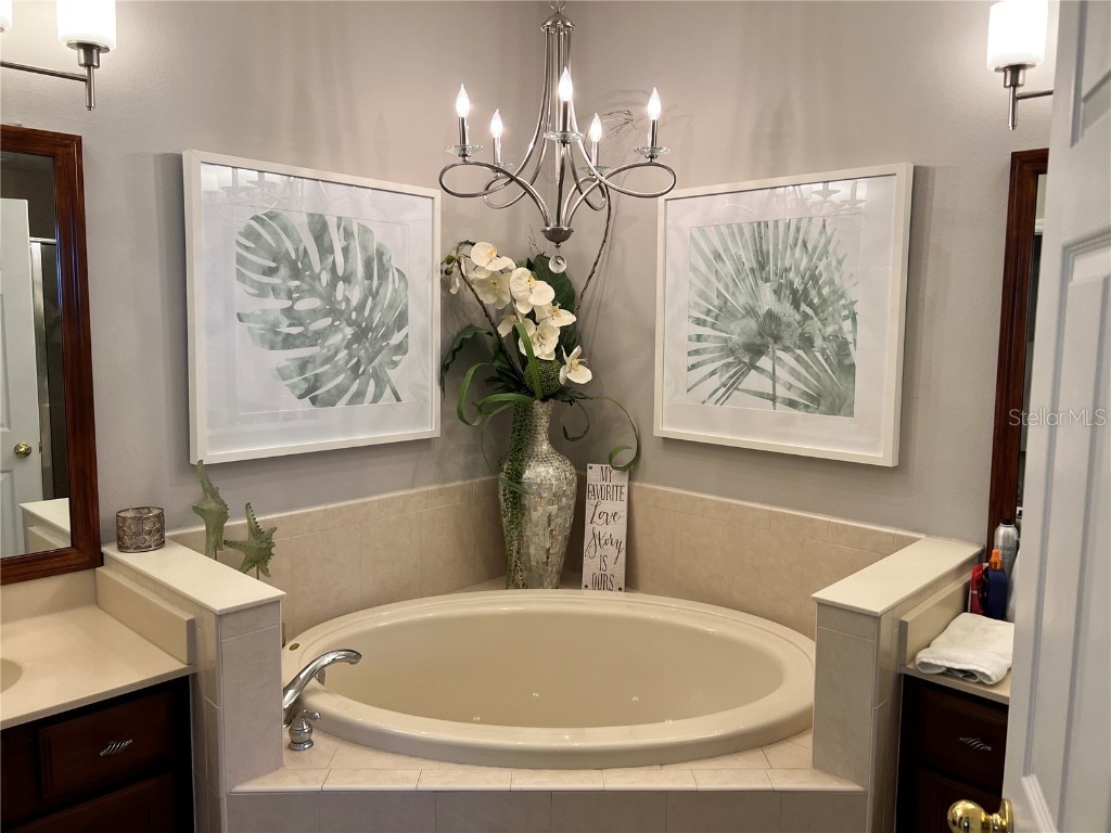 1143 Venetian Harbor Drive NE Saint Petersburg FL 33702 TB8438248 image35