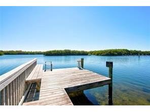 1143 Venetian Harbor Drive NE Saint Petersburg FL 33702 TB8438248 image40