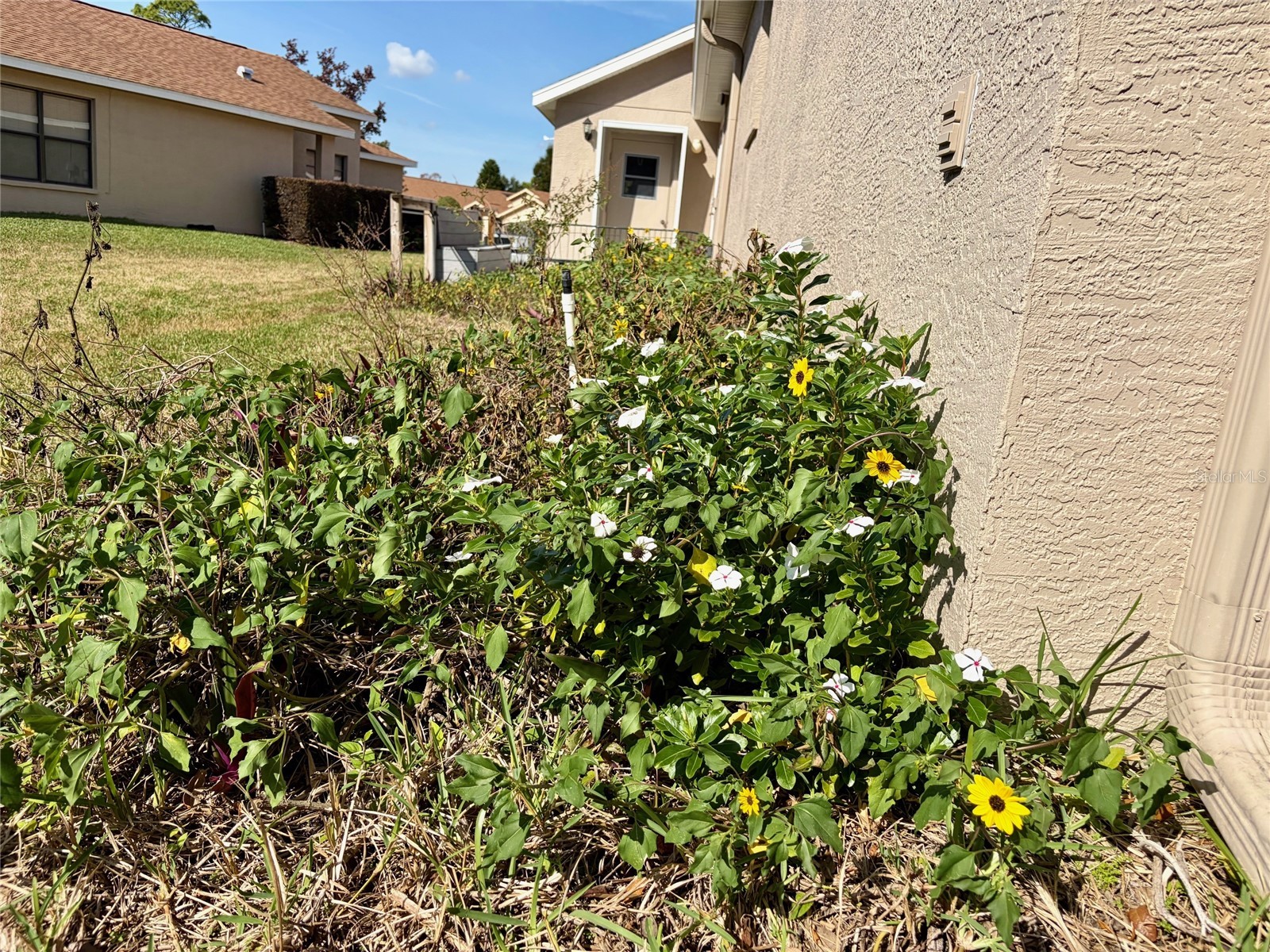 11430 Kingstree Court Spring Hill FL 34609 W7881886 image18