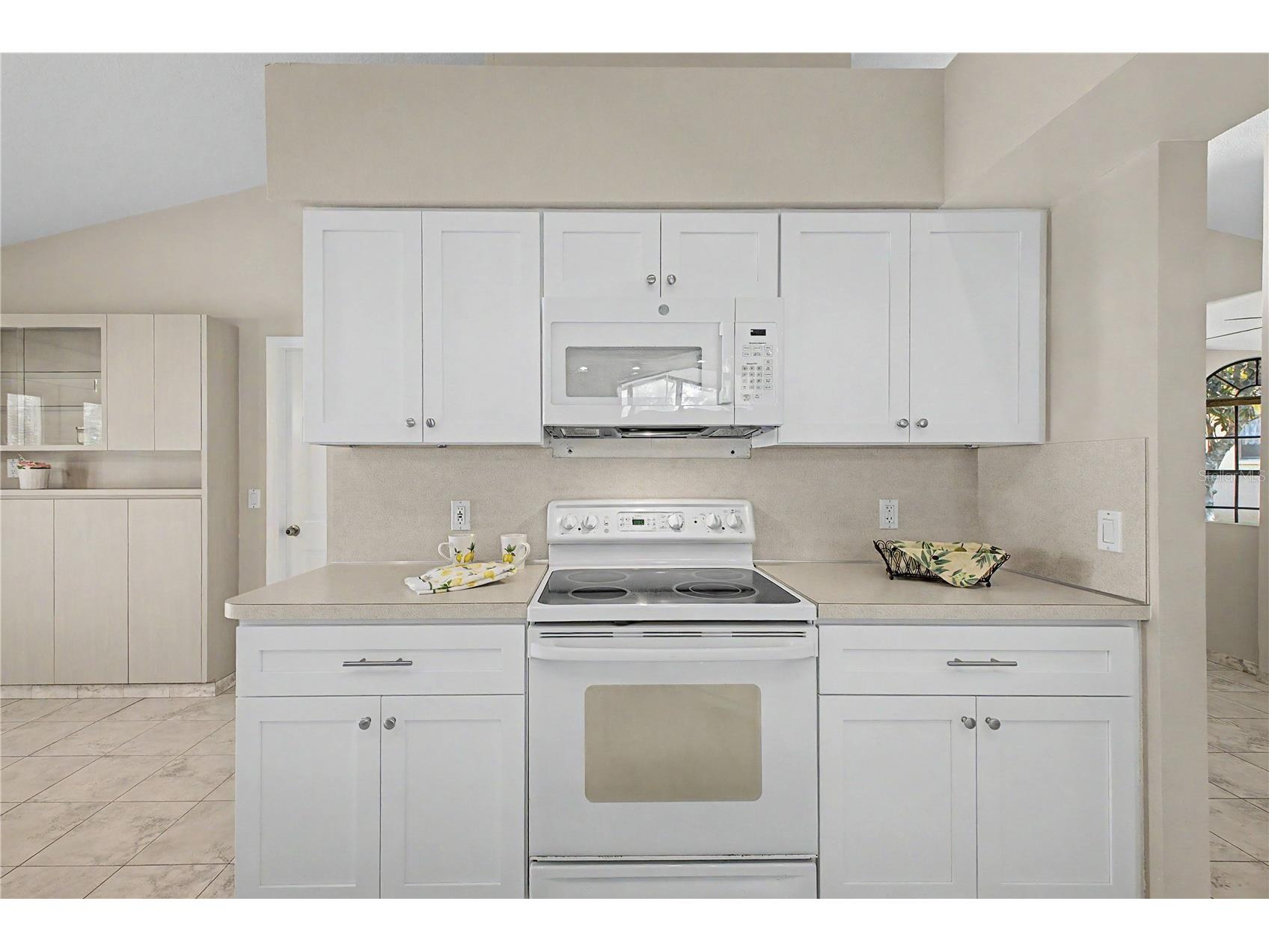 11430 Kingstree Court Spring Hill FL 34609 W7887960 image15