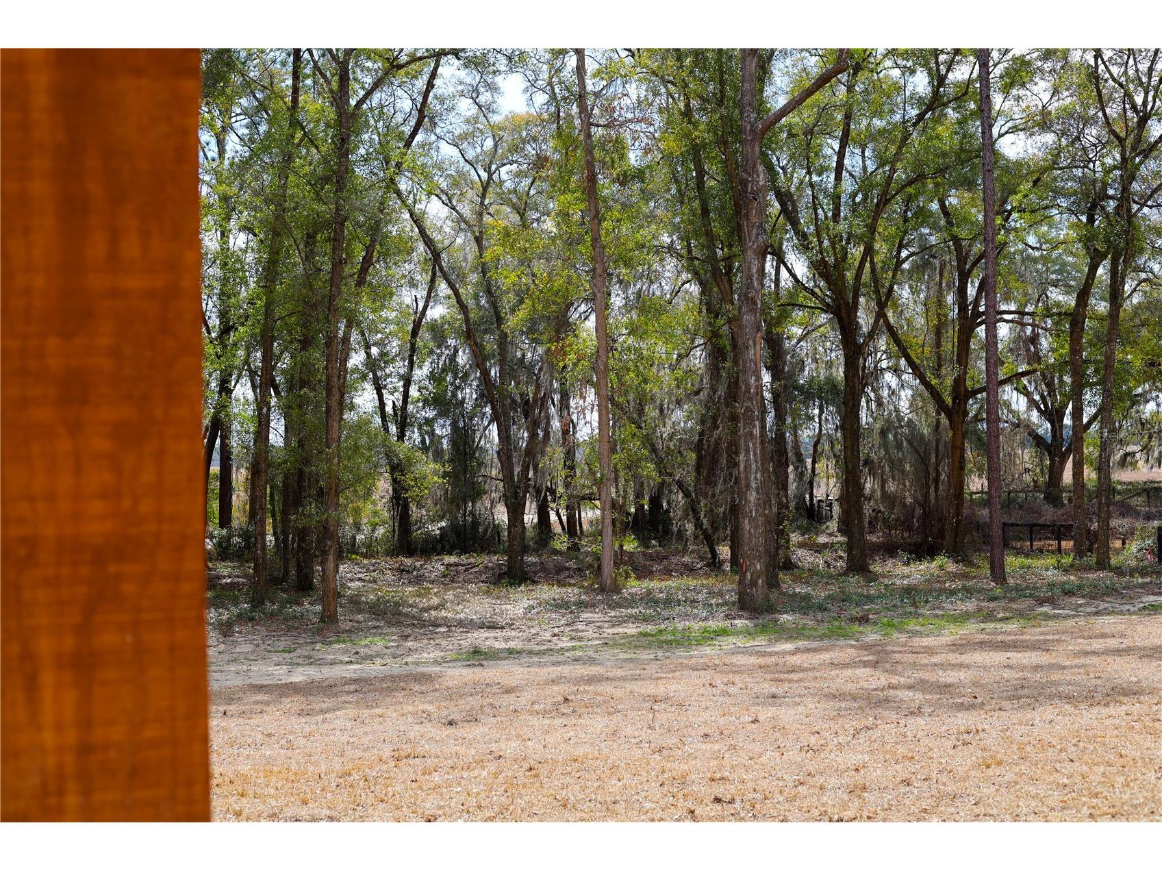 11430 SW 61st Place Road Ocala FL 34481 O6352609 image47