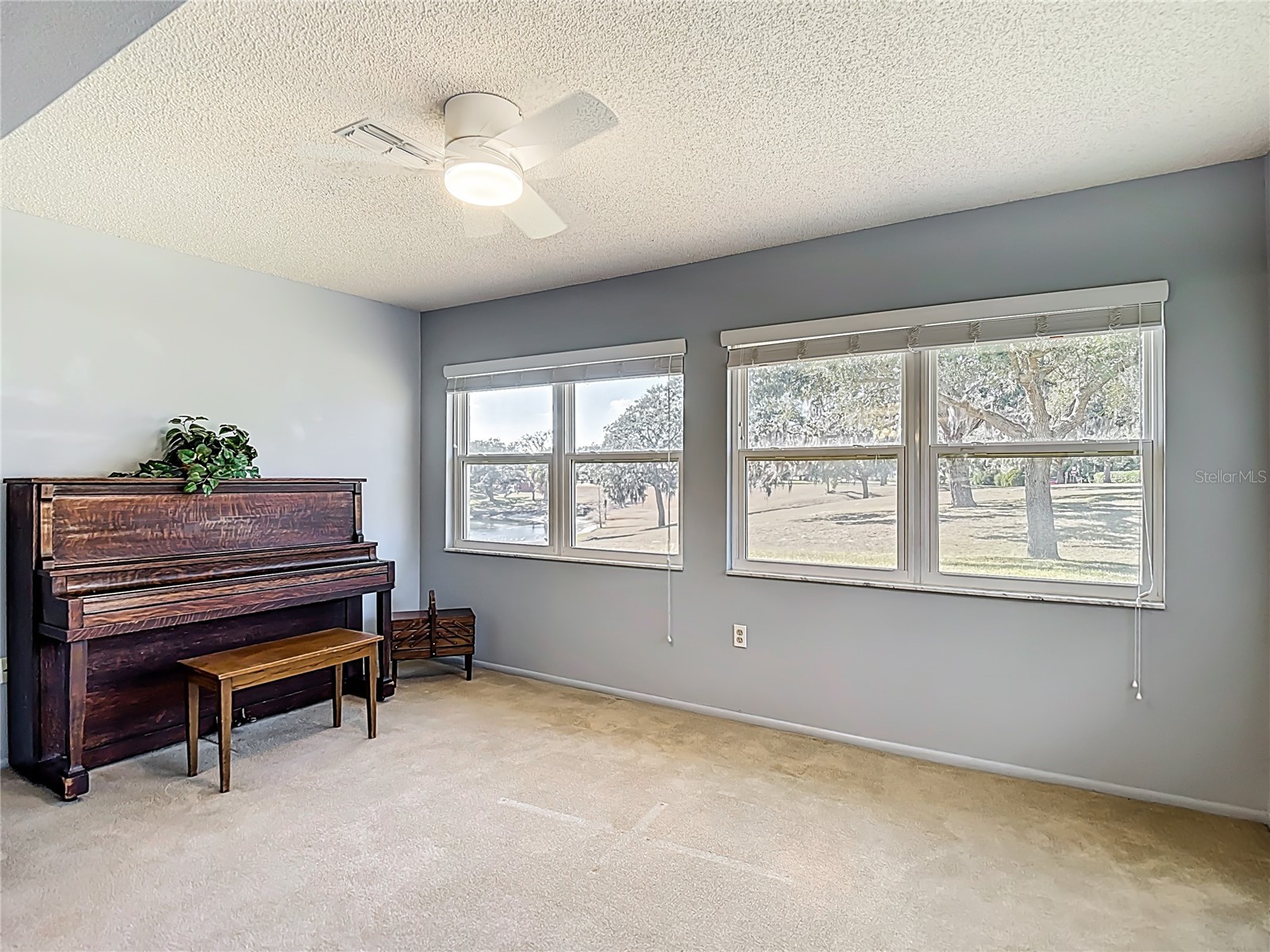 11431 Dollar Lake Drive #1 Port Richey FL 34668 TB8474951 image20