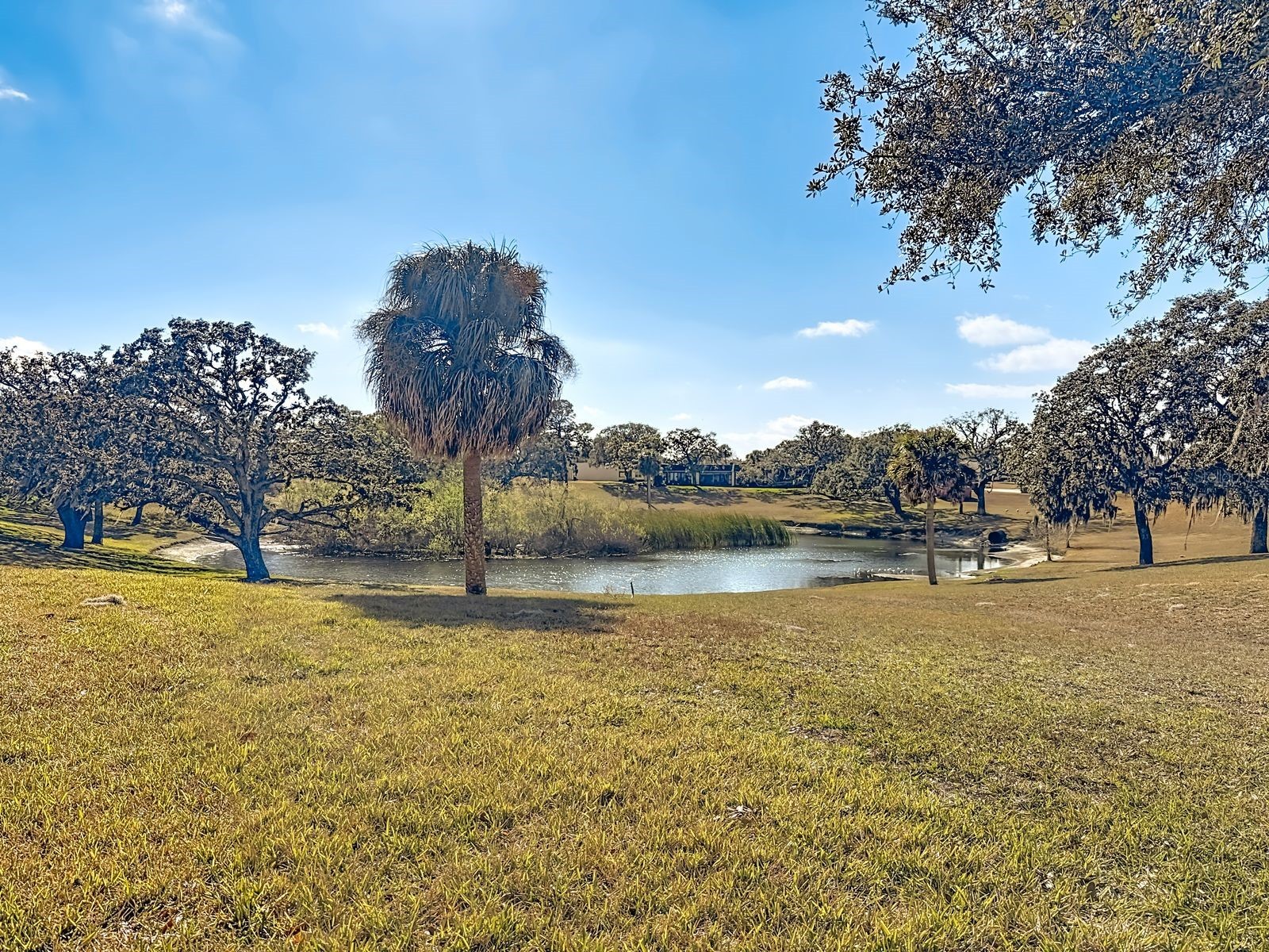 11431 Dollar Lake Drive #1 Port Richey FL 34668 TB8474951 image3