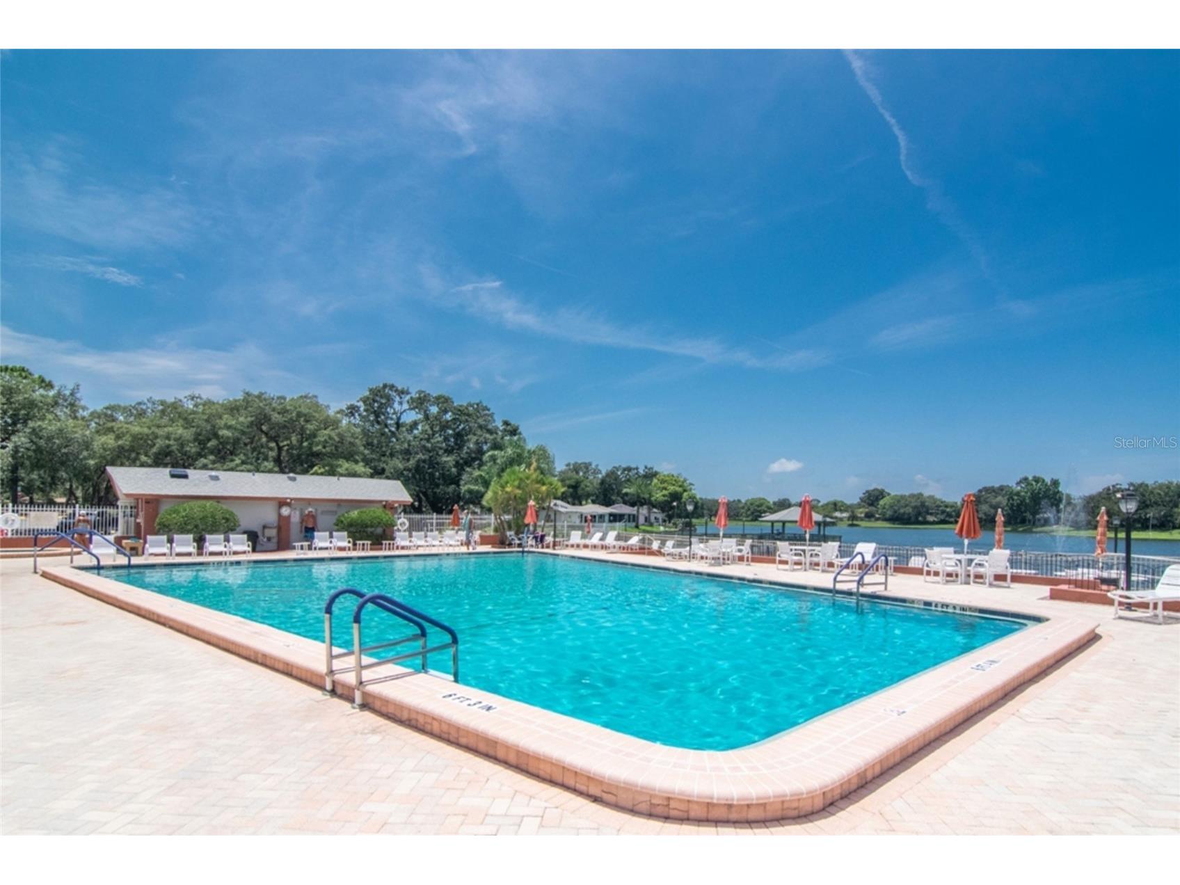 11431 Dollar Lake Drive #1 Port Richey FL 34668 TB8474951 image37