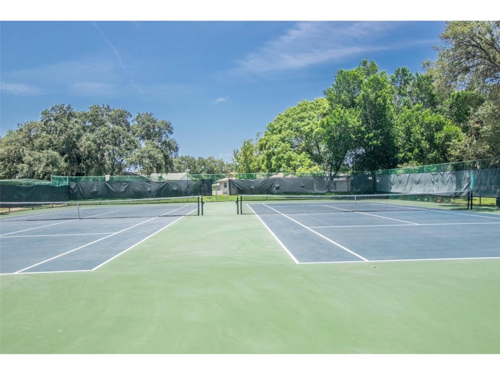 11431 Dollar Lake Drive #1 Port Richey FL 34668 TB8474951 image39