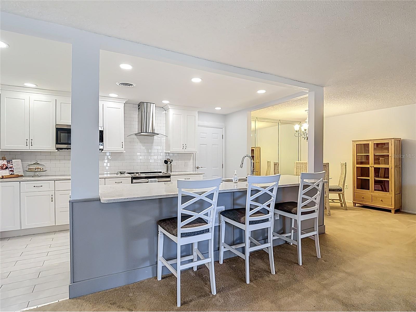 11431 Dollar Lake Drive #1 Port Richey FL 34668 TB8474951 image7