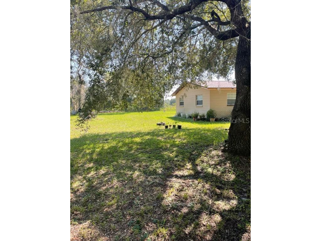 11433 S Rosewater Point Homosassa FL 34446 TB8429853 image4