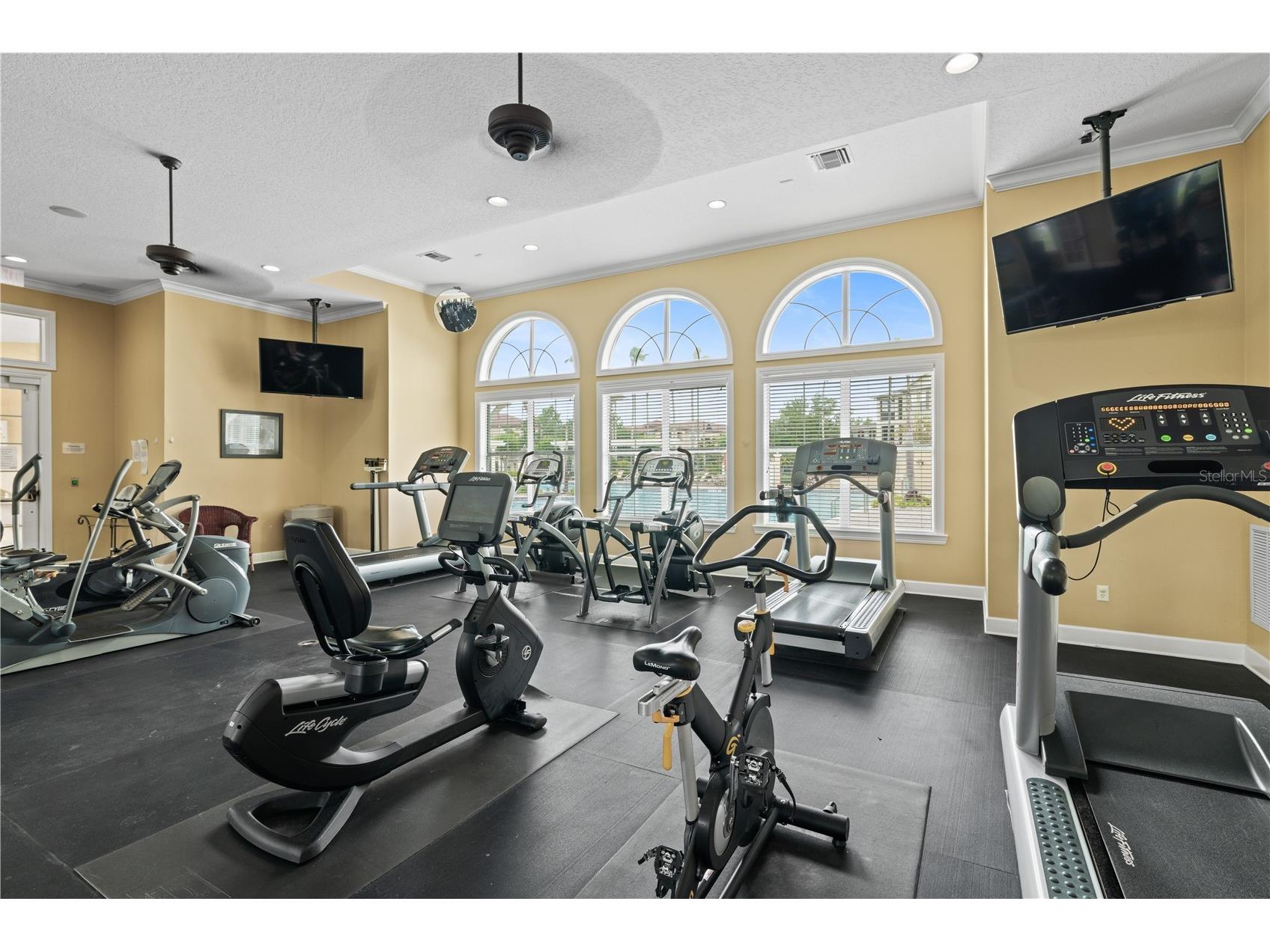 11434 Jasper Kay Terrace #1101 Windermere FL 34786 O6404802 image29